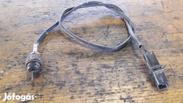 Renault Scenic II Kipufogógáz Hőmérséklet Jeladó