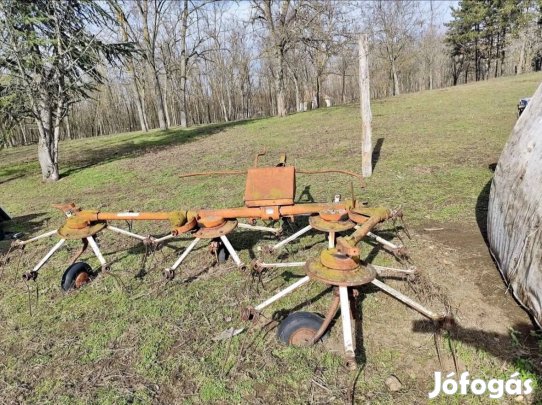 Rendkezelő, rendterítő