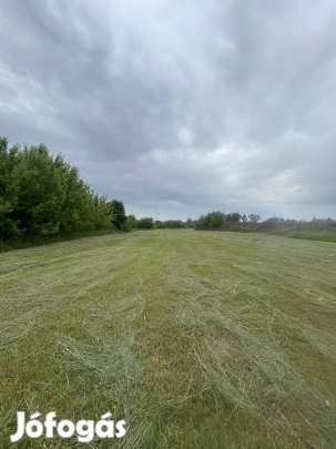 Ret legelő Nagyigmandon