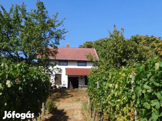 Reziben gondozott szőlőültetvény, gyümölcsös eladó örökpanorámás