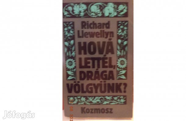 Richard Llewellyn: Hová lettél drága völgyünk? I - II
