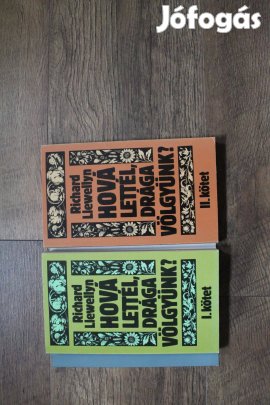 Richard Llewellyn - Hová lettél, drága völgyünk? I-II