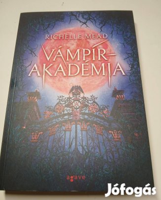 Richelle Mead - Vámpírakadémia