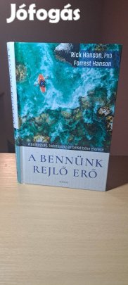 Rick Hanson Forrest Hanson: A bennünk rejlő erő