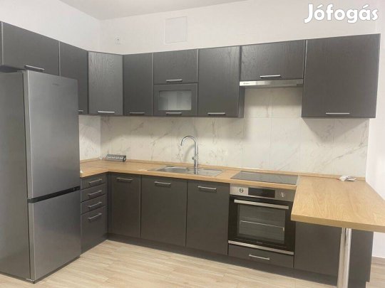 Rigómező lakóparkban 1 emeleti 47 nm igényes lakás kiadó