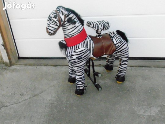 Ritka mechanikus zebra testsúly által lépeget, 5-10 évesnek