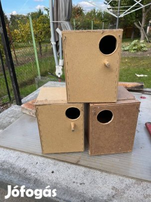 Rizspinty oduk eladok