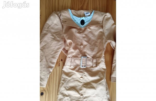 Roald Dahl Fantastic MR Fox jelmez eladó (13)