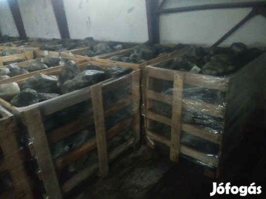 Robbantott kősó kiszállítással , 950 kg / kaloda