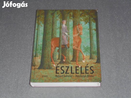 Robert Sekuler, Randolph Blake - Észlelés (Pszichológia, Biológia)