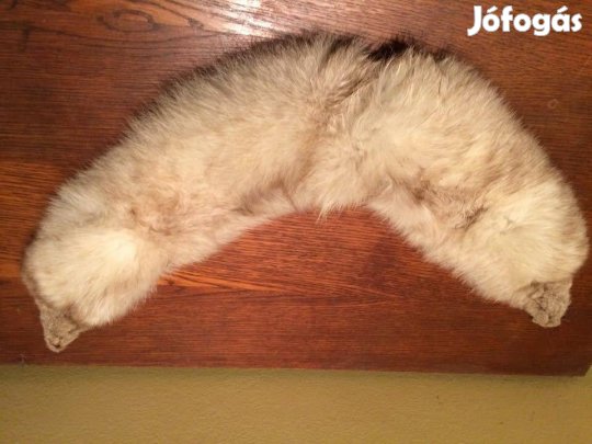 Róka gallér róka szőrme