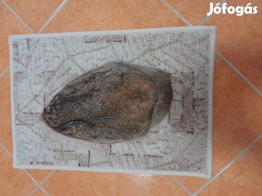 Róka sapka -hibátlan-