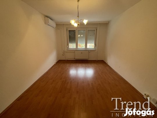 Római városrészben egy szobás üres lakás kiadó!