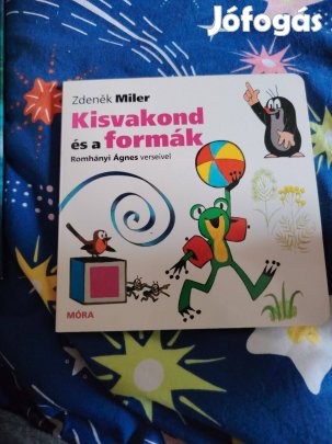 Romhányi Ágnes: A kisvakond és a formák (Kisvakond)