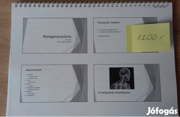 Röntgenanatómia (képalkotó diagnosztikai analitika)