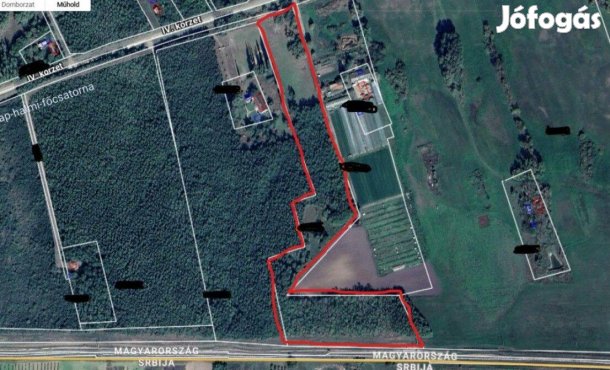 Röszkei nyárfa erdő, rét, legelő, összesen 27798 nm-es terület