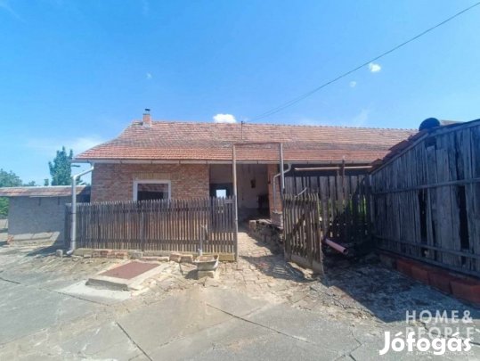 Röszkén panorámás családi kúria eladó! - Röszke