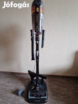 Rowenta X-Force Flex 15.60