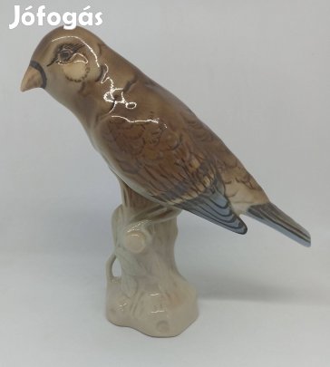 Royal Dux porcelán madár!
