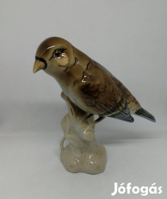 Royal Dux porcelán madár!