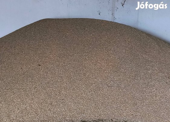 Rozs és tritikálé vegyesen 