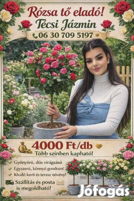 Rózsafa eladó 