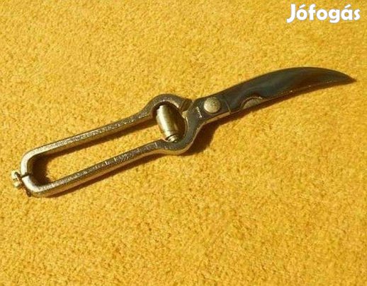 Rozsdamentes acél konyhai olló. Hús és csontvágó