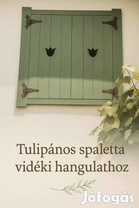 Rusztikus Spaletta ajtóra , ablakra !