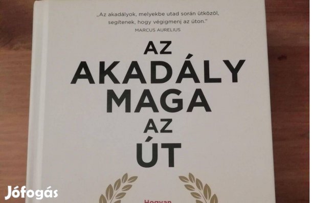 Ryan Holiday - Az akadály maga az út