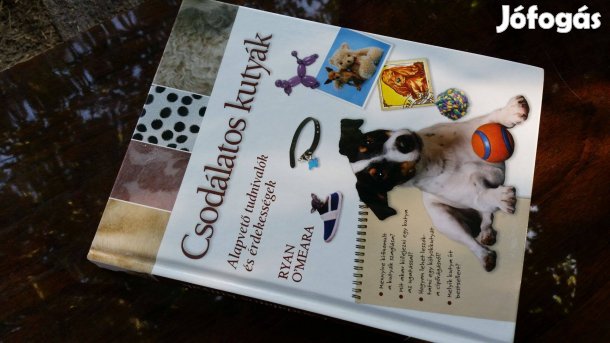 Ryan O'Meara: Csodálatos kutyák + Holly Webb: A magányos kiskutya +DVD