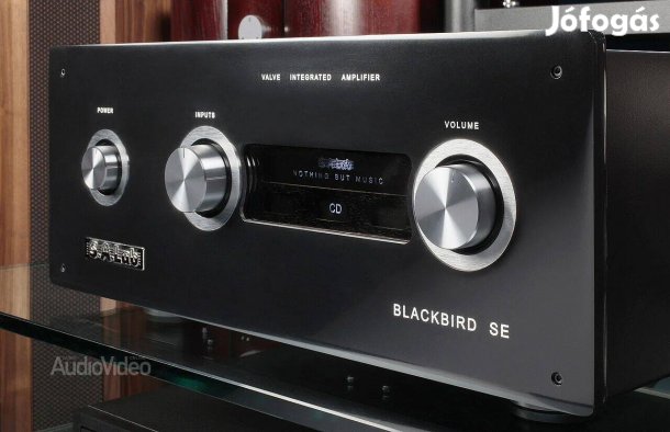 SA Lab Blackbird SE erősítő eladó