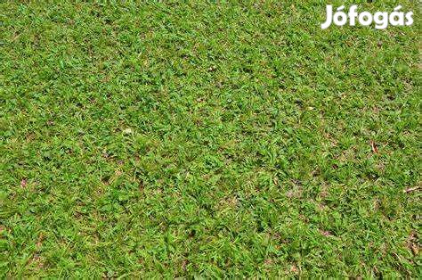 SOK LEHETŐSÉGET REJTŐ INGATLAN ANDOCSON