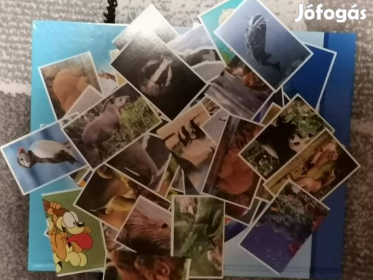 SPAR Újdonsága! Garfield Mentsük meg a Bolygót! Matricák 70 Ft/db Sok