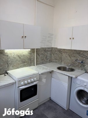 SZÁRNYAS UTCÁBAN KIADÓ 1 SZOBÁS, FELÚJÍTOTT, KLÍMÁS,PARKRA NÉZŐ LAKÁS!
