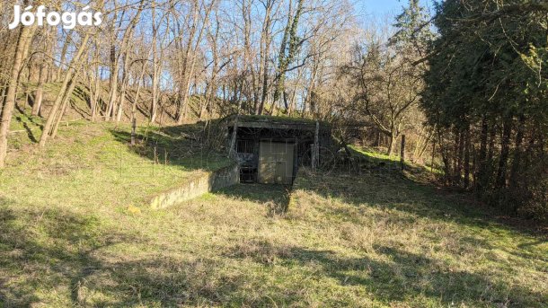 SZIGLIGETEN a vár alatt csendes helyen pince ELADÓ!