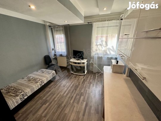 SZIKSZÓ PARKBAN CSENDES, FÖLDSZINTI, MÉGIS VILÁGOS, GARZONLAKÁS KIADÓ!