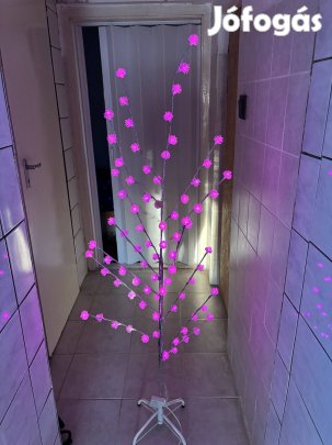 Sakura fa - rózsaszín