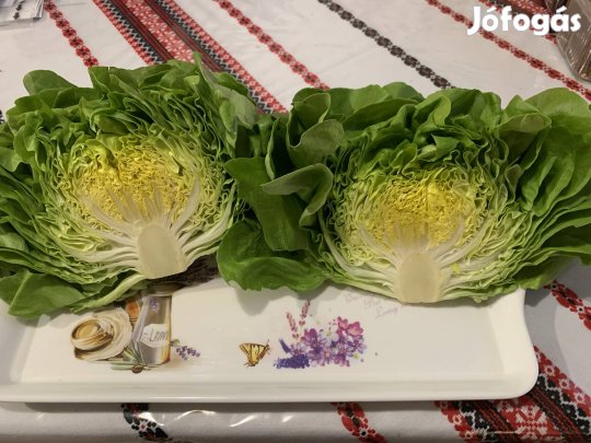 Saláta eladó