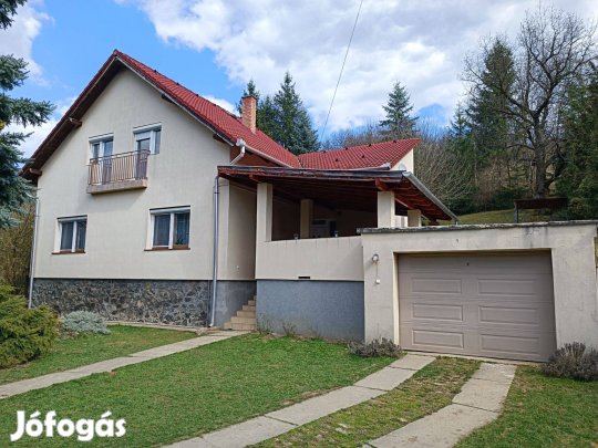 Salgótarján bútorozott/gépesített, belváros közeli ingatlan