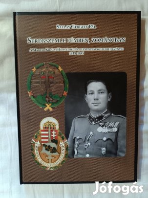 Sallay Gergely Pál: Seregszemle fémben, zománcban