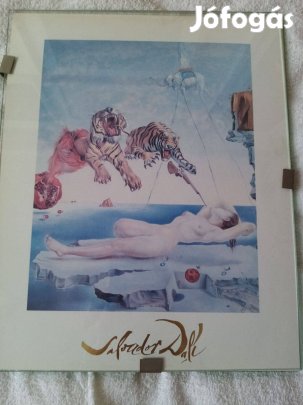 Salvador Dali reprodukció