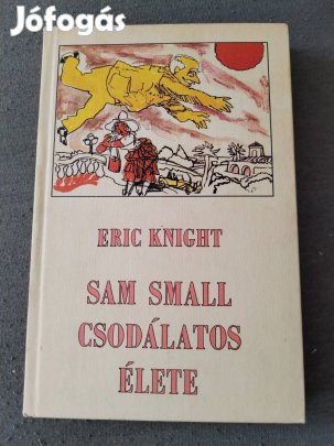 Sam Small csodálatos élete 