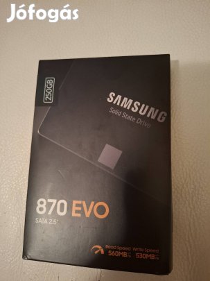 Samsung 870 Evo SATA 2.5 250GB