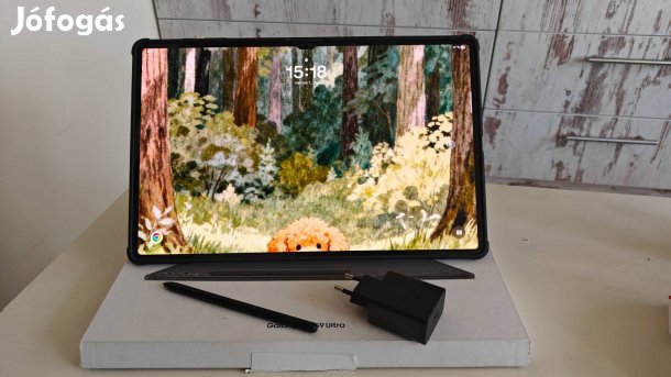 Samsung Galaxy Tab S9 Ultra 512 GB