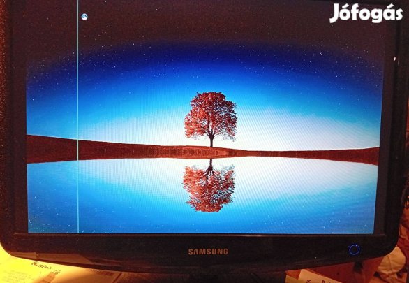 Samsung LS22Pebsfv/EDC monitor eladó - képernyőn csik