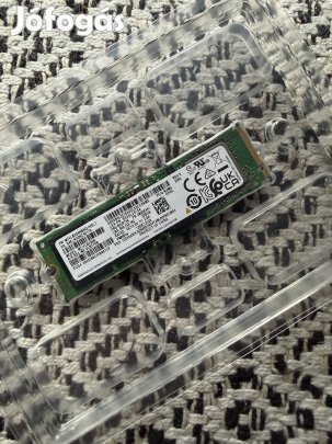 Samsung M2 SSD (256GB)