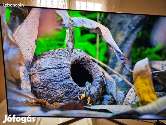 Samsung QE55Q7FAM 55 138cm Qled Smart TV 4K UHD