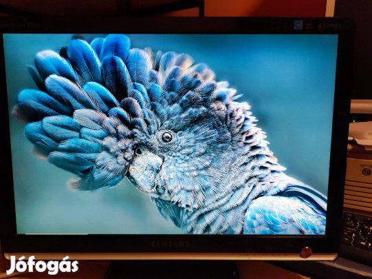 Samsung Syncmaster 931BW monitor eladó