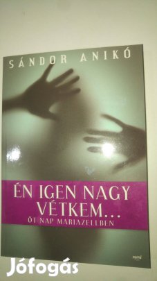 Sándor Anikó Én igen nagy vétkem