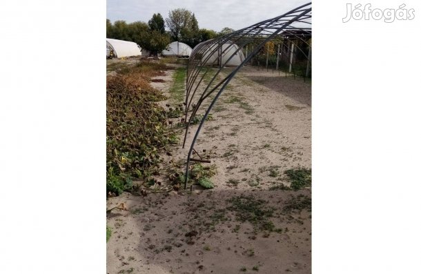 Sándorfalva Csibafa zártkert